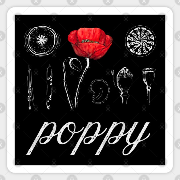 Poppy - Vintage Botanical Drawing - Chalk Art Blueprint Æshetic Sticker by TuncGK